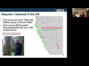 Carbon Capture at Wakehurst & A New Look at the Giant Sequoia in the UK