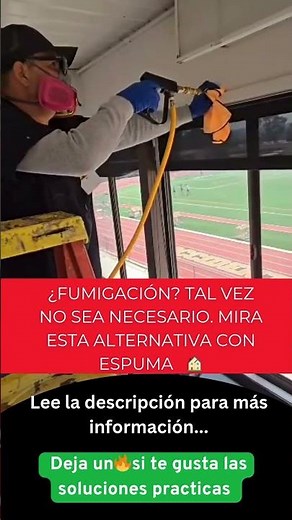 Tratamiento de termitas con espuma en Los Ángeles | Control de termitas sin fumigación.