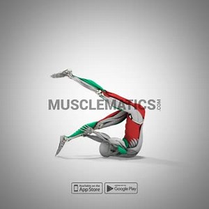 #Pilates exercise - #ControlBalance - great for abs, glutes, & hamstrings! #MuscleMatics app. Available for free on iOS and Android #FollowTheMovement | MuscleMatics