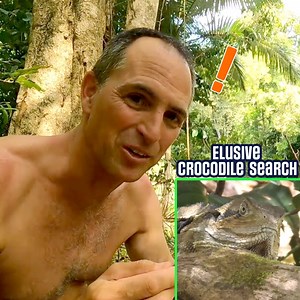 Trying To Catch The Barramundi That TAUNTED Me | Andy's Fishing Wild Cook on Youtube