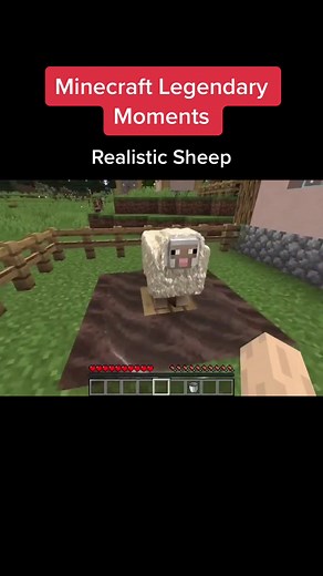 Realistic Sheep in Minecraft - Legendary Moments