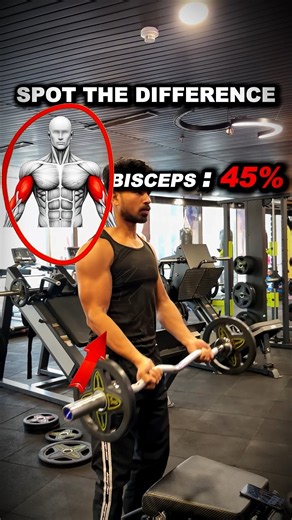 How to Grows Biceps Fast with Reverse Barbell Curls | Best Biceps Workout #shorts #workouttips