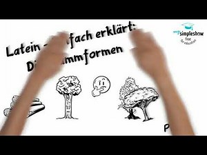 Latein - Einfach erklärt: Die Stammformen