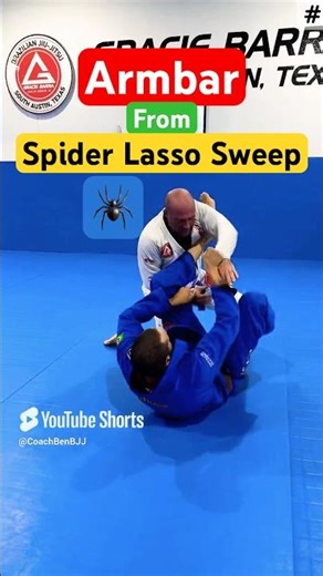 Armbar From Spider Lasso Sweep #new #shorts #bjj #jiujitsu #ufc #mma #coachbenbjj #graciebarra #gb