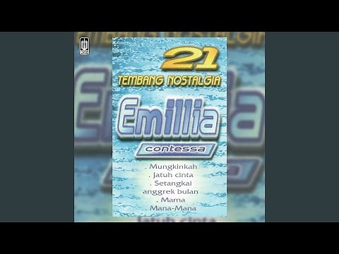 Setangkai Anggrek Bulan