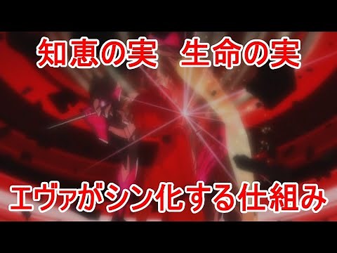 【エヴァ考察】「知恵の実」「生命の実」考察 エヴァがシン化する仕組み