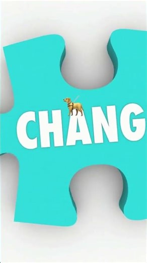 The Role of Financial Advisors in Corporate Restructuring