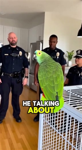 Funny PARROT Tells Police: "I Am an Innocent Taxpayer!" 🦜⚖️