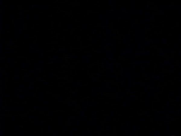 FULL VHS: The Lord of the Rings (1978) [Thorn EMI Video] (1981 VHS)