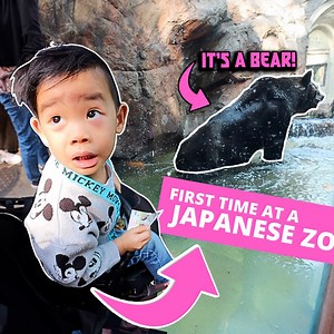 41K views · 813 reactions | What A Japanese Zoo Is Like In Tokyo! | Paolo from Tokyo | Facebook