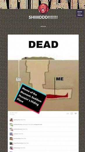 For more information, check out the Saddam Hussein’s Hiding Place entry on Know Your Meme! #knowyourmeme #origins #saddamhussein #hussein #reddawn