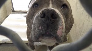 11K views · 489 reactions | PETE - 10/14/17 TEMP TEST: 'B' (for...