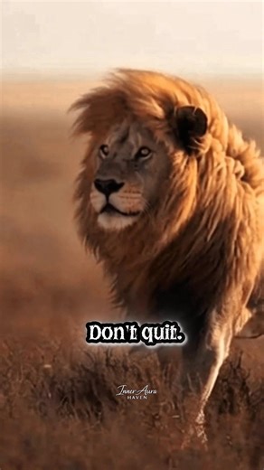 Don’t Quit – This 60 Second Speech Will Rewire Your Mind. #motivation #mindset #youtubeshorts