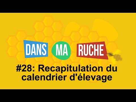 #28 - Queen rearing calendar recap