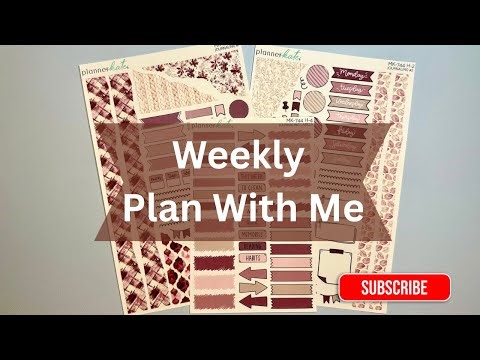 Weekly Plan With Me | Erin Condren Daily Duo