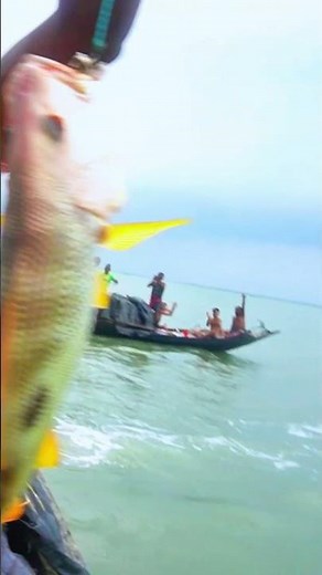 Big fish catching hook sundarban lifestyle vlog