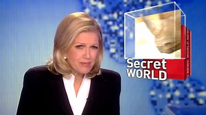 Caught on Tape: Rare Animals Lead Secret Lives After Dark