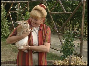 Come Outside - Rabbits (1995)