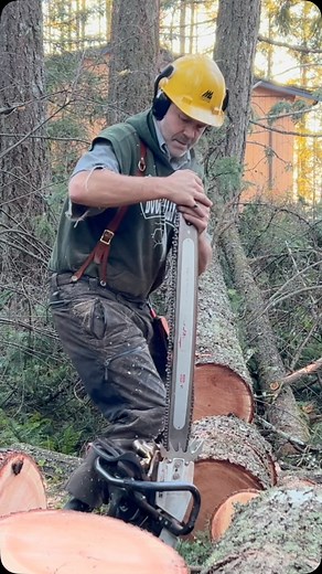 Buckin’ Billy Ray on Instagram: "Got lucky . Threw my chain #logger #logging #timberfaller #chainsaw #bekind"