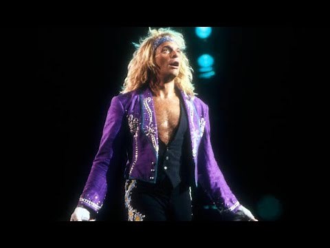 David Lee Roth - Madison Square Garden, New York, July 13, 1988