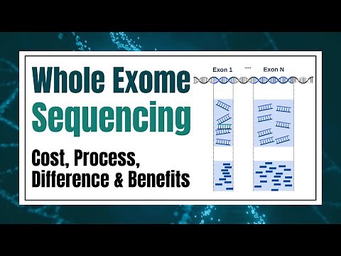 Whole Exome Sequencing (WES) Explained: Cost, Process, and Benefits | WES vs WGS