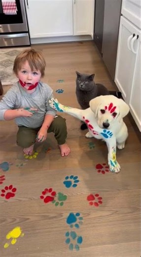 "Who Painted the Kitchen?!" - Kid → Puppy → Cat Blame Chain! 😂🐱