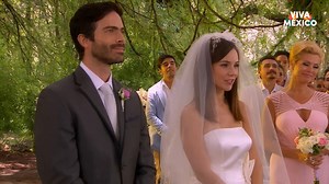 1.1M views · 19K reactions | Mientras que Paulina y Adrián disfrutan del día de su boda, Julieta se escapa del hospital psiquiátrico  #AQueNoMeDejas, lunes a viernes a las 9:20 a. m. MEX / 10:25 p. m. MEX, solo por #Tlnovelas y #SoloEnBlim en: https://blim.onelink.me/Cs9x/fblatln | tlnovelas | Facebook