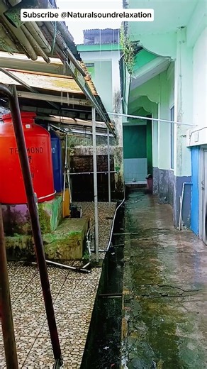 Peaceful Rain Behind the School | Soothing Sounds for Relaxation