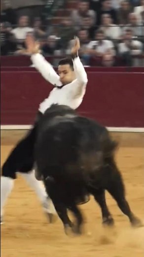 Inside the Spanish Bullfight: The Art of the Bull and Matador