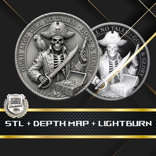 Coin Depth Map | Heigh Map | 3D Laser Engrave | Stl File | PNG File | Grayscale | Lightburn BMP | Laser Fiber | Pirate Coin - Etsy Australia