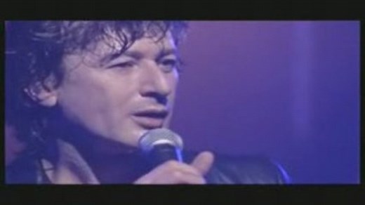 Alain Bashung-L'apiculteur