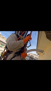 Daniel Palmieri on Instagram: "PARTE 2 - seguitemi per altri video!!! Rimozione in quota (su fune) di maxi Alveare di api #apicoltura #danielpalmieri #beekeeper #savethebees #sosapi #animals #roma #vigilidelfuoco"