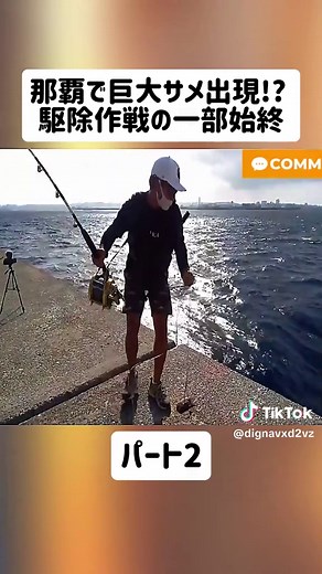 那覇で巨大サメ出現! 駆除作戦の一部始終パート2#FishingGangWildHook #ルアー釣り #巨大魚 #釣り #hugefish #fishing #fyp #foryoupage❤️❤️
