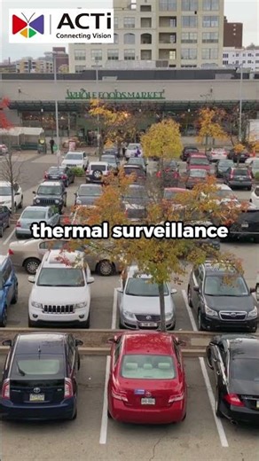 Childlike Sex Dolls & Sweatshops?! SHEIN Scandal Erupts!