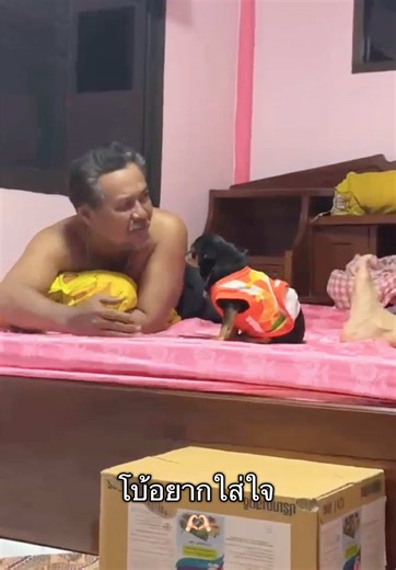 โบ้อยากใส่ใจ 🫶🏻 #ลาบีบี้กับลาโบโบ้ #ชิวาว่าน่ารักชื่อแรมโบ้กับรูบี้ #แรมโบ้กับรูบี้ #Rambo_Rubie #หมาน่ารักตลกสุดฮา