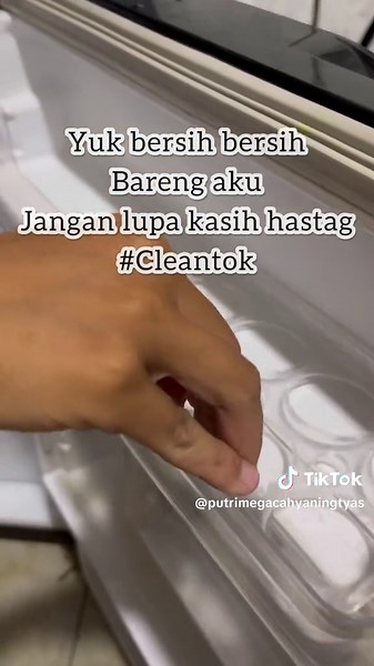 Tips for Deep Cleaning Your Fridge | Effective Methods