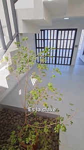 CASA TRANSFORMADA EN UN HOGAR MODERNO | Obras Ajenas | GDL Propiedades Esta casa de 40 años en la Zona Metropolitana de Guadalajara ha sido renovada con un diseño moderno y funcional. Se abrió un vano central para una nueva escalera, permitiendo mayor circulación y luz natural que crea un ambiente cálido y agradable. Aunque conserva su distribución original, las modificaciones mejoran la iluminación, ventilación y conexión entre espacios. Ahora, la casa se siente más abierta y fresca, combinando