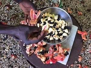 How to Pick Fresh Ackee