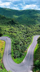 Nature rides with you 🌳🌴🏍️ #AJadventure #naturelover | AJ Adventure