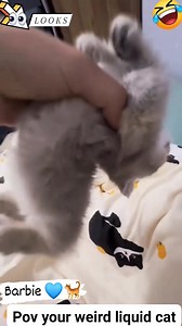Weird liquid cat's🤣🐈💙 Imagine that you was watching cartoons #barbiecatlover #space #catlovers #PetLovers #kindness #winter #kitten | Barbie Nathazha
