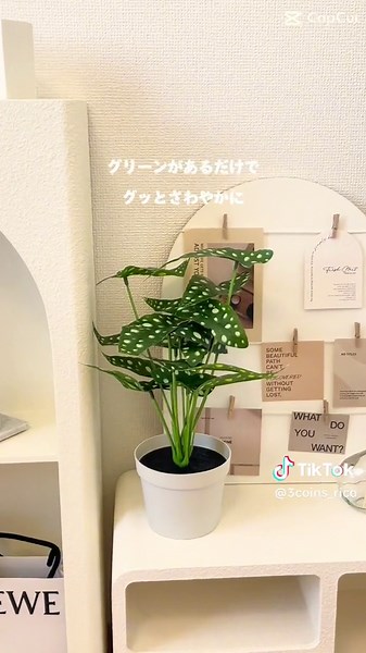 おしゃれなフェイクグリーンで部屋を演出