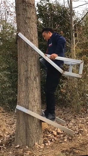 safe tree climbing process #shorts