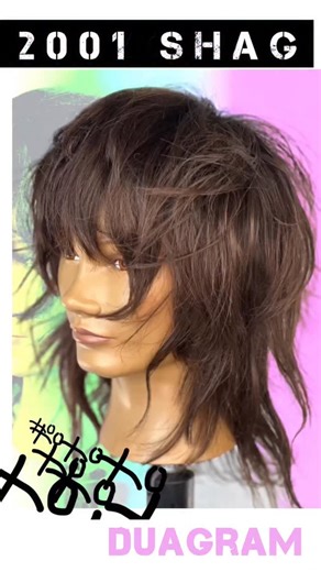 Roger molina on Instagram: "2001 SHAG REEL Shag haircut tutorial in stop motion. DUAGRAM. A stop motion video fused with a keynote diagram. If you like it mash some buttons for me. Save it, send it, comment or repost. It’s all love. Happy 2026! • 2001 SHAG TECHNICAL BREAKDOWN • At hairline take diagonal back 1” slice, elevate vertically and cut with diagonal finger angle. Continue Overdirecting to previous til high point. • HIGHPOINT Maintaining stationary guide angle and position through crown.