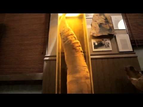 Documentary Channel - Free Preview | CBC