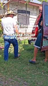 Nutri-CAL Ameliorant & Soil Conditioner MIRACLES FOLIAR for all types of crops #miraclesfoliar #nutrica #PureOrganic #effective #organicfarming #fbreels #reels #reels2024 #reelstrending #reelsvideo #reelsviral #elkabukidagritech #elkabukidagrisupply #buhayprobinsya #buhaymagsasaka | El Kabukid Agritech