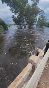 Nyl River in Flood in Mokopane (Potgietersrus), Limpopo The R101 near the bridge is flooding near Kent Smith (before the Weigh Bridge) due to water pushing over the low-lying bridge. Valerie via Marianne Loubser | We Are South Africans