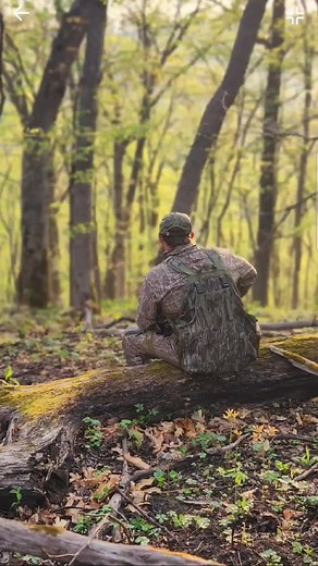 The good 'ol days. #turkeyhunting #shanesimpsonhunting | Shane Simpson