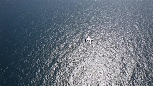 USS Abraham Lincoln (CVN 72), USS Mobile Bay (CG 53), USS SPRUANCE (DDG-111), 防衛省 海上自衛隊 (Japan Maritime Self-Defense Force) (JMSDF) Kongō-class guided-missile destroyer JS Kongō (DDG 173), and JMSDF Murasame-class destroyer JS Inazuma (DD 105) sail in formation during a U.S.-Japan bilateral exercise. During bilateral exercises between Abraham Lincoln Carrier Strike Group and JMSDF, the two navies strengthen all-domain awareness and maneuvers across a distributed maritime environment. Bilateral o