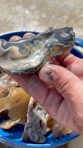 50K views · 814 reactions | #tumbling #agate #coral #florida | KeokukGeodes | Facebook