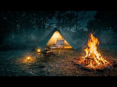 I CAMPED ALONE IN A WINDY FOREST 🌲💨